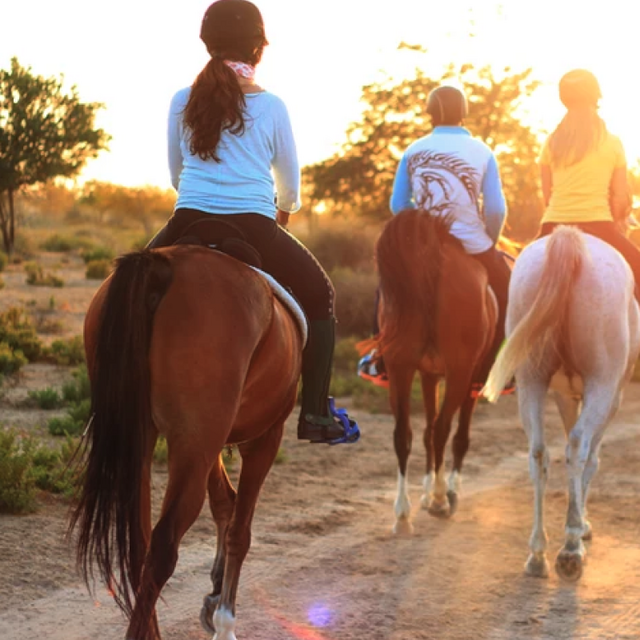 Hill Country experiences